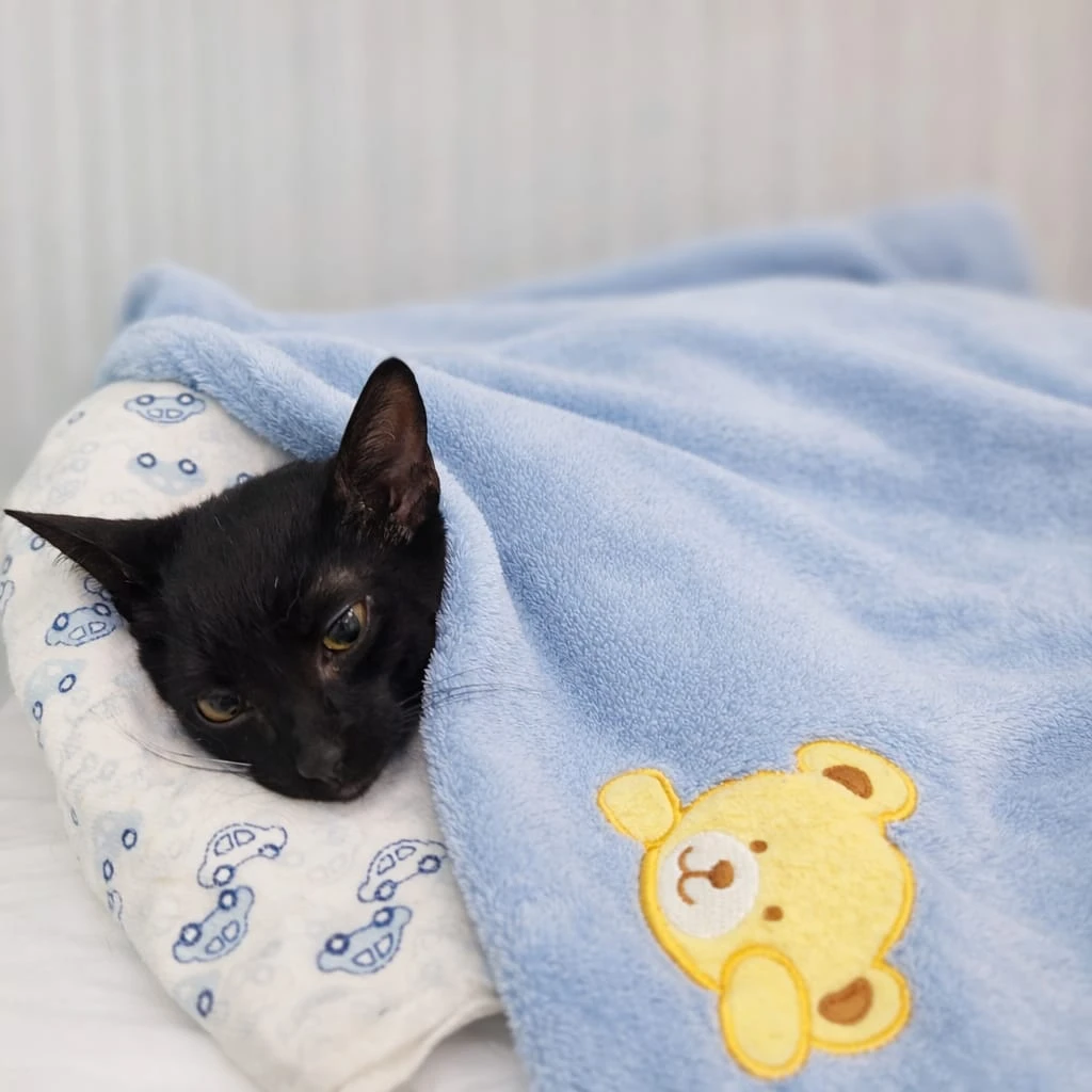 whatsapp_image_2025_12_29_at_18_45_26_1_