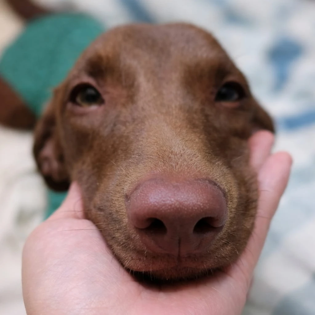 whatsapp_image_2025_12_29_at_18_45_27_1_