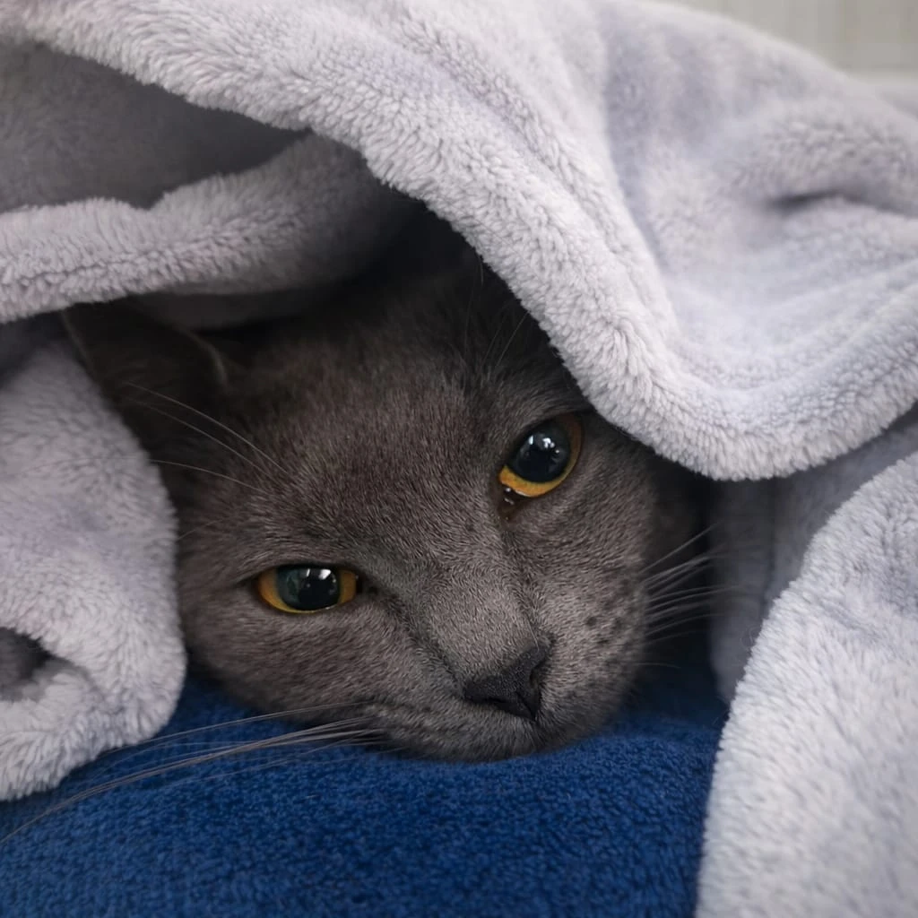 whatsapp_image_2025_12_29_at_18_45_27_2_