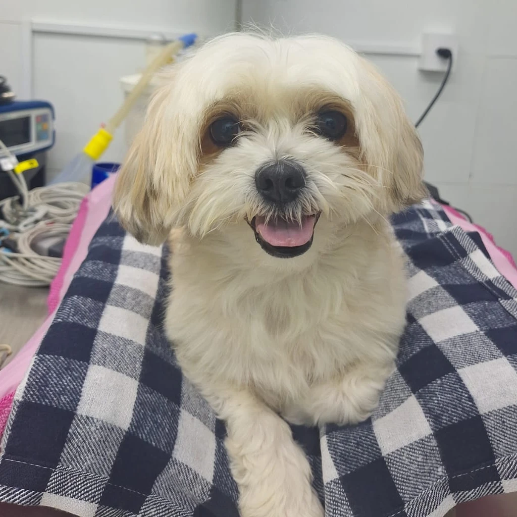 whatsapp_image_2025_12_29_at_18_47_03